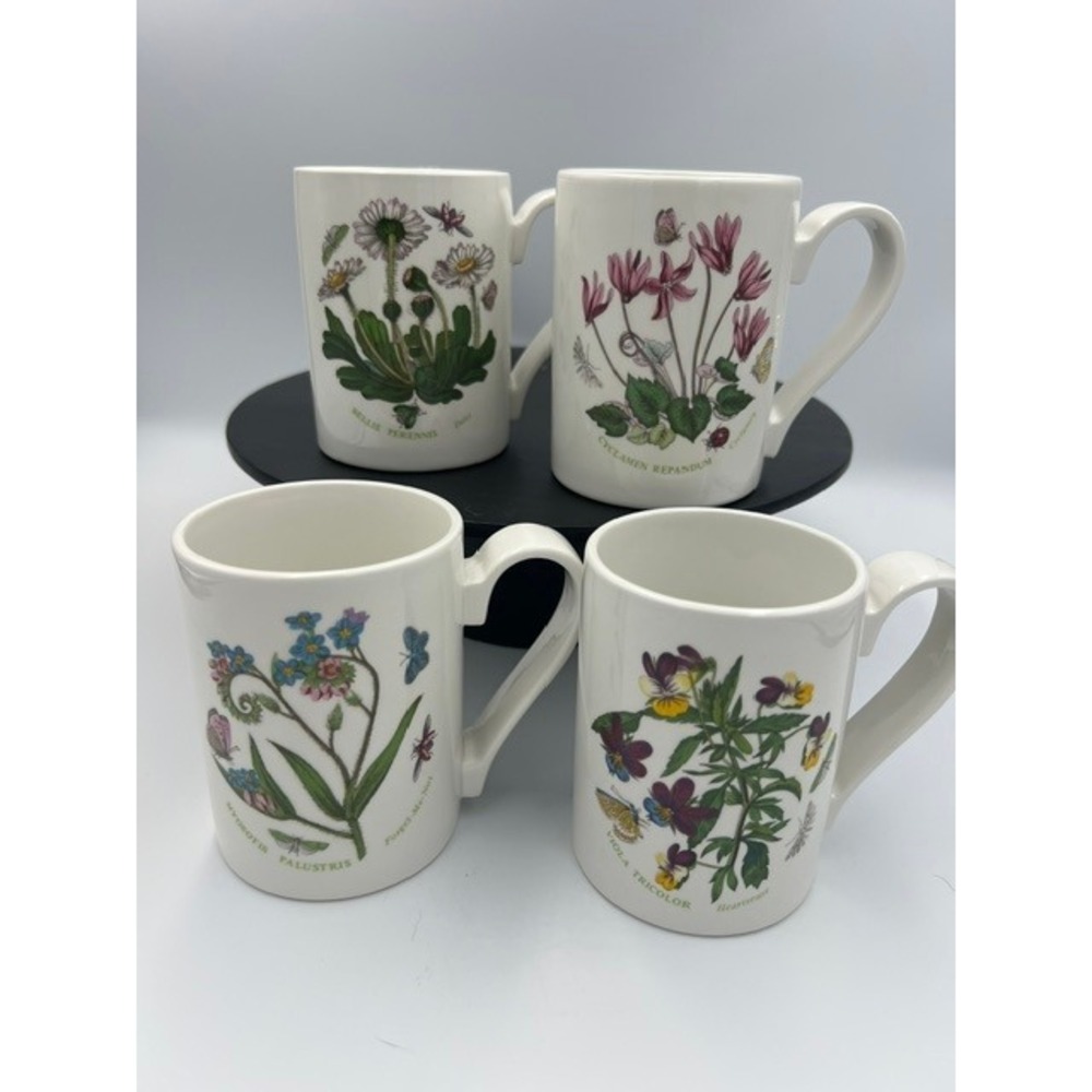 Portmeirion Botanic Garden Mugs Set of 4 Floral Earthenware White 10oz